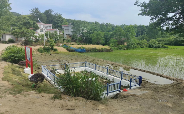 �������� (3).jpg